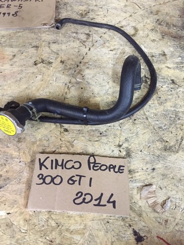 Kimco people 300 gti - kimco, 2015