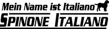 Il mio nome è… SPINONE