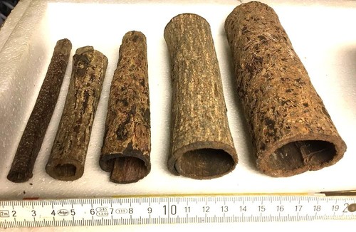 Tubo corteccia mandorlo - tubo,