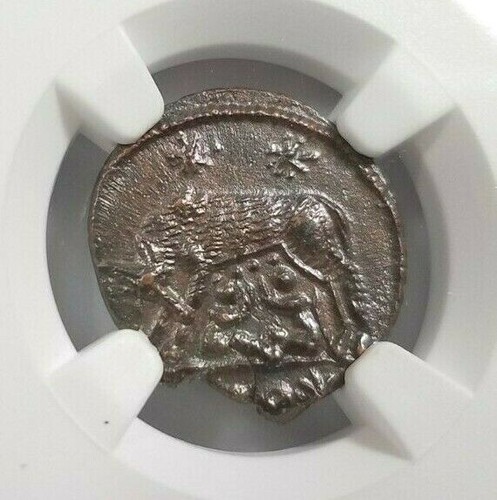 She wolf twins - she-wolf, ngc