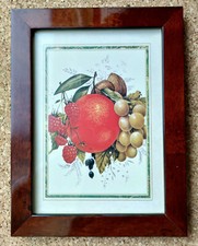 ANTIQUARIATO QUADRO STAMPA
