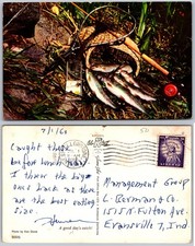 Cartolina cesto pesca trota