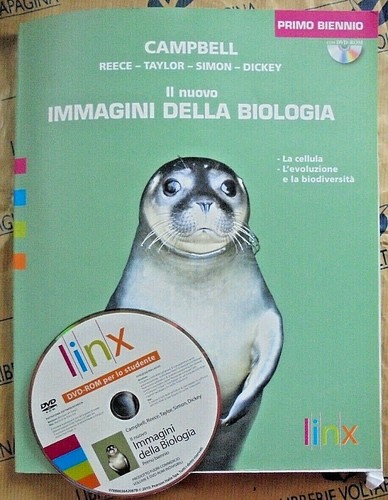 Nuovo immagini della - nuovo,