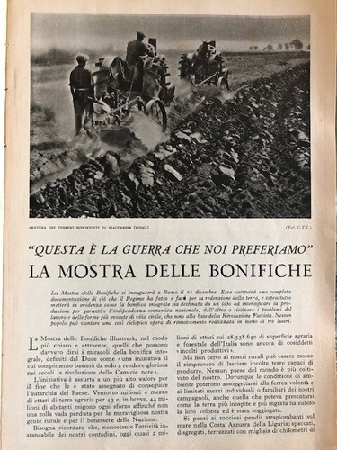 Articoli stampa d epoca - articoli,
