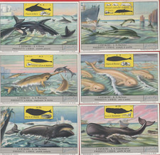 FIGURINE LIEBIG SERIE COMPLETA