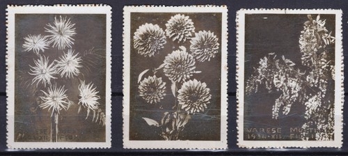Er5188 mostra dei fiori varese - dei,