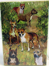 The AmStaff Bull Terrier