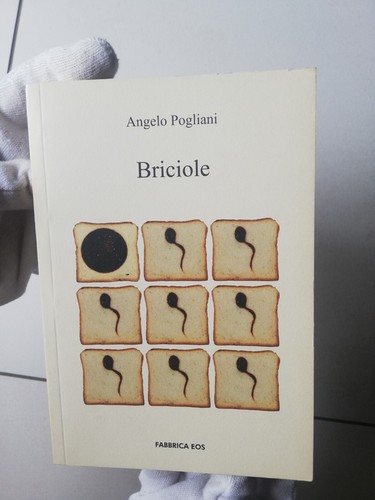 Briciole angelo pogliani - briciole,