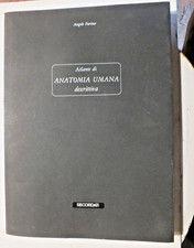 303V-ATLANTE DI ANATOMIA UMANA