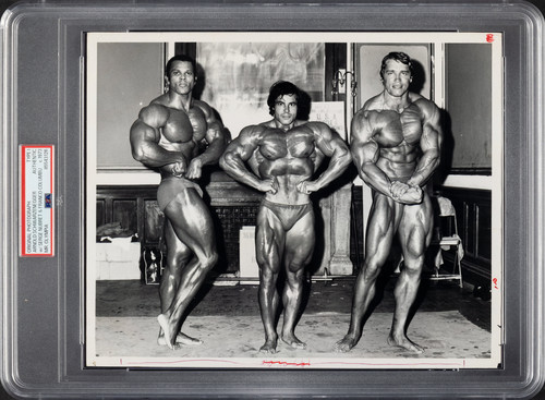 Arnold schwarzenegger franco - schwarzenegger,