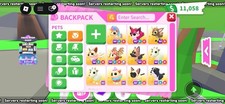 Adopt pets bundle megas - me,