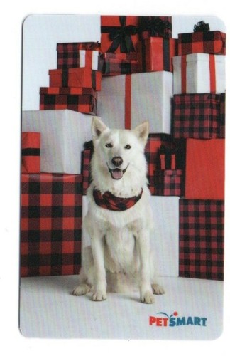 Petsmart carino cucciolo cane - petsmart,
