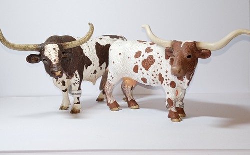 Coppia texas longhorn - texas, figure