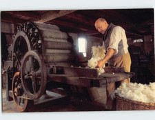 Cartolina Cardatrice prepara