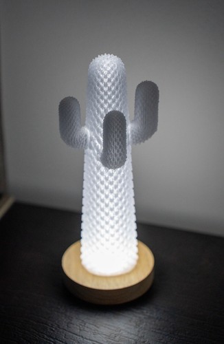 Cactus kaktos design - design, lamp