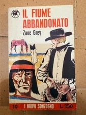 Fiume abbandonato zane - abbandonato,, grey