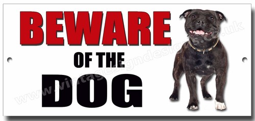 Staffordshire bull terrier - staffordshire,