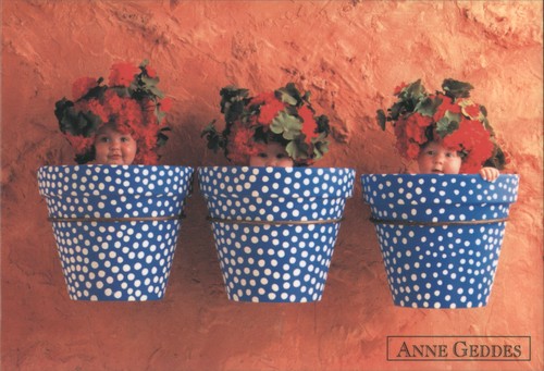 Anne geddes babies - babies, pois