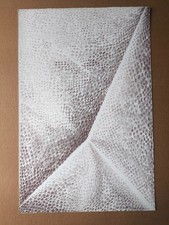 Litografia di Bruno Liberatore