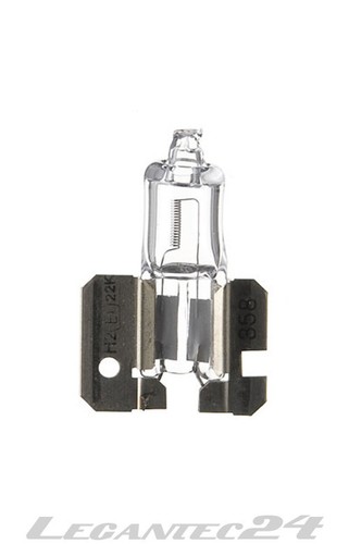 Lampadina 12v 55w x511 - lampadina,