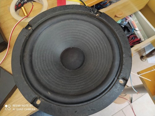 Woofer singolo 8 ohm - woofer,