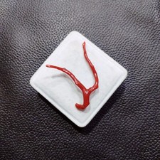 Ramo di corallo autentico