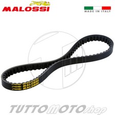 6117010 MALOSSI Cinghia