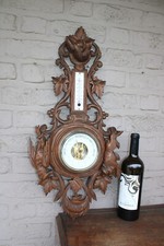 Antico trofeo di caccia in