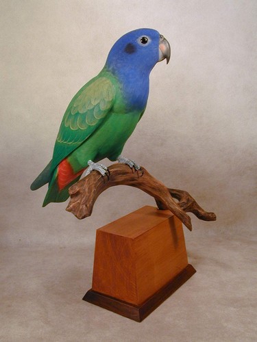 Pappagallo testa blu - , scultura