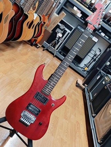 Washburn nuno bettencourt - washburn,