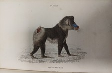 JARDINE – Natural History