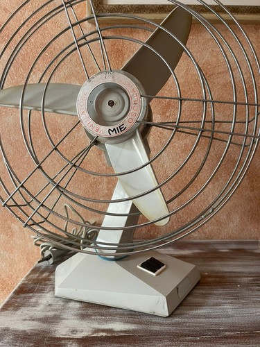 Raro ventilatore tavolo - ventilatore,