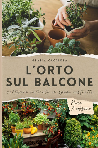 Orto sul balcone - l'orto,