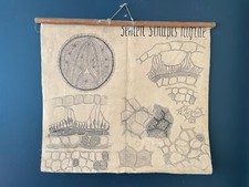 Poster botanico vintage anni