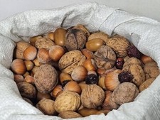 Cibo per scoiattoli e uccelli