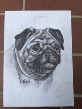 DISEGNO CANE RAZZA CARLINO A BIRO NERA SU CARTA FORMATO A4