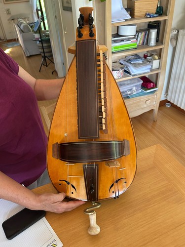 Ghironda strumento musicale - strumento,