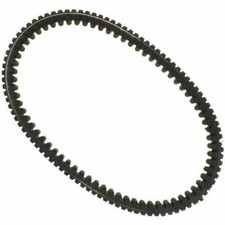 Cinghia variatore dayco xtx - variatore,