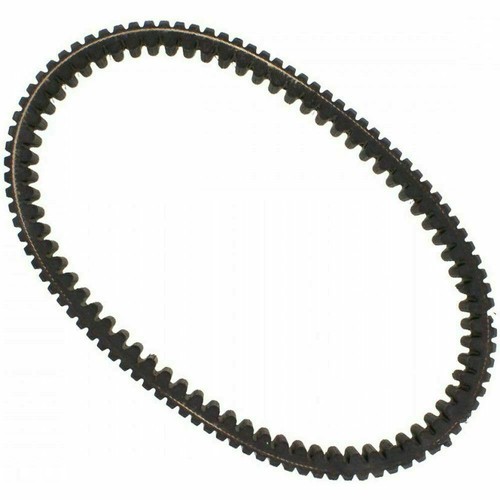 Cinghia variatore dayco xtx - variatore,