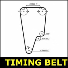 Cinghia distribuzione camma