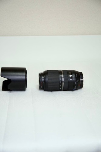 Tamron 300 6 di vc - sp,
