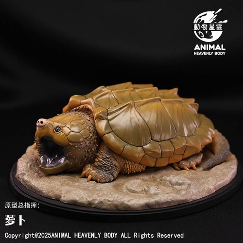 Animal heavenly body - animal,