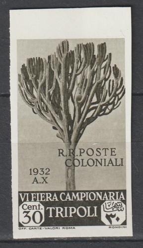Italia colonie 1932 libia - italia-,