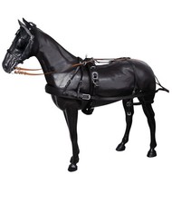 Finimento carrozza diplomat - da,