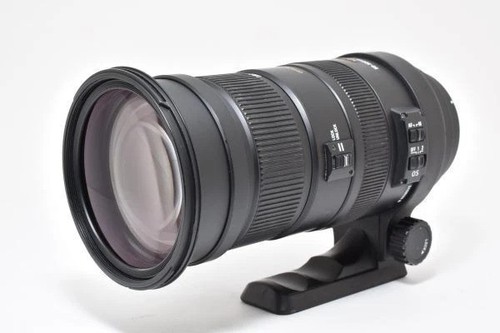 Sigma apo 500 - sigma, 50-500
