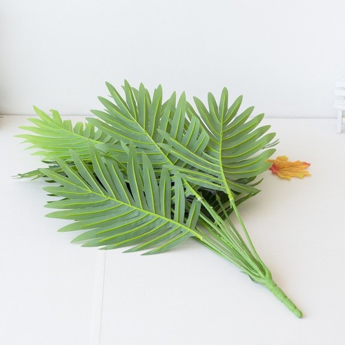 Pianta girasole di - di,