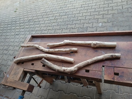 Rami legno da frutto - di,