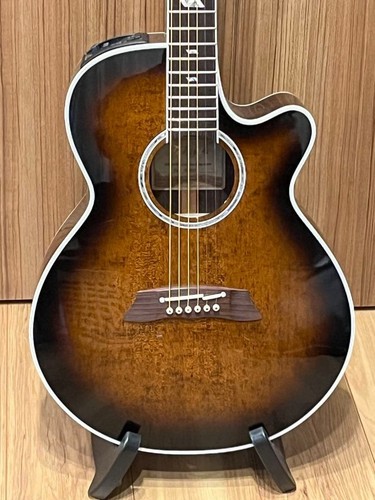 Chitarra elettrica acustica