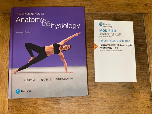 Fundamentals anatomy - of,
