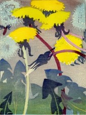 Tarassaco: Mabel Royds : 1935